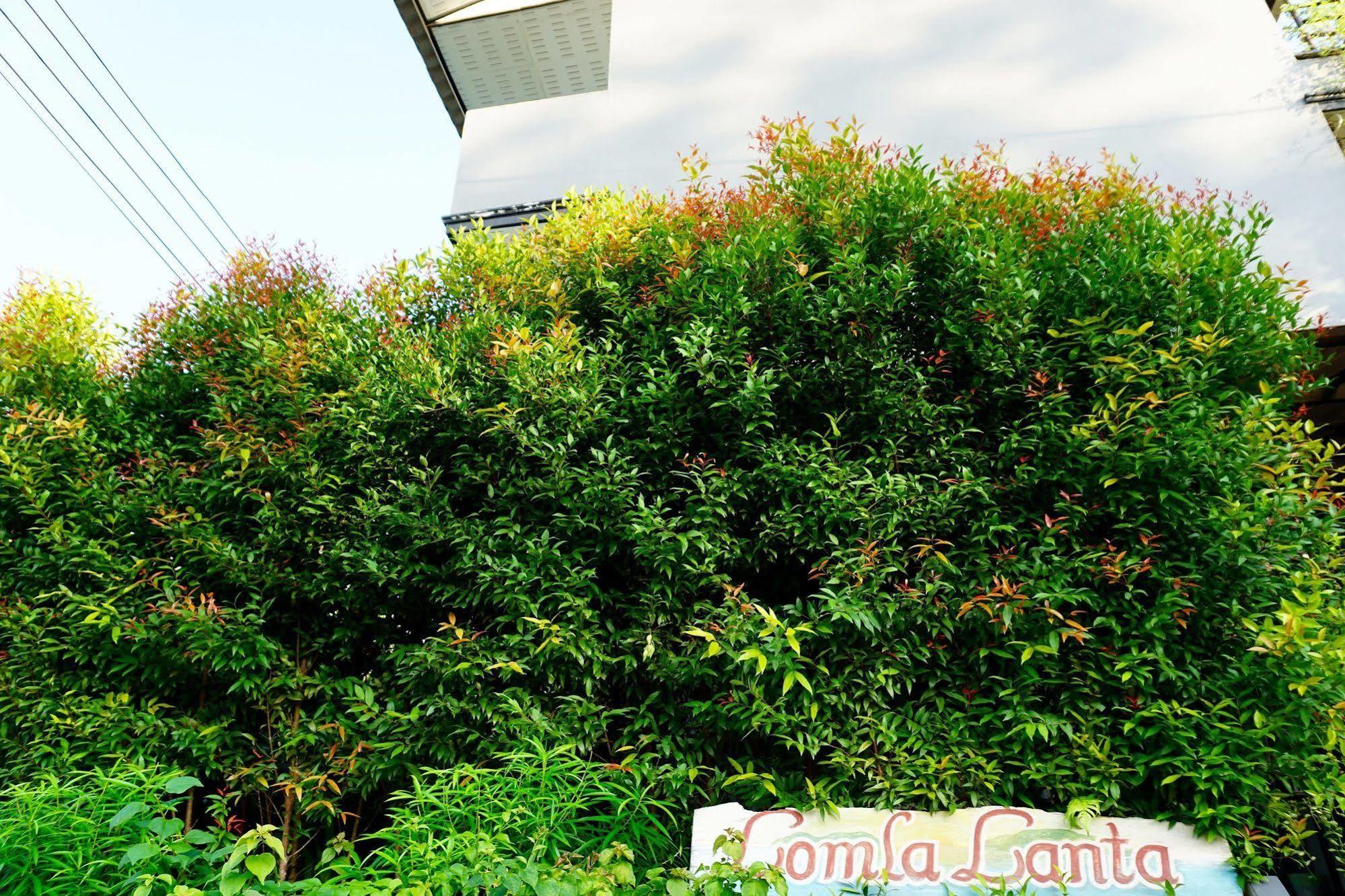 Lom La Lanta Hotel Koh Lanta Bagian luar foto